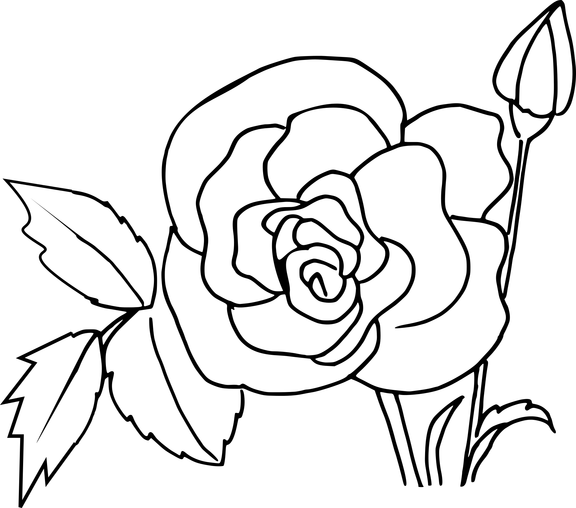 Różyczka