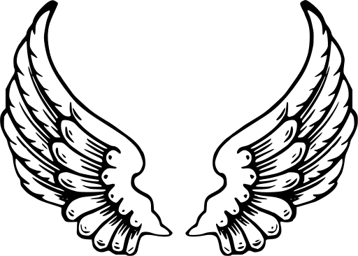 Skrzydła anioła