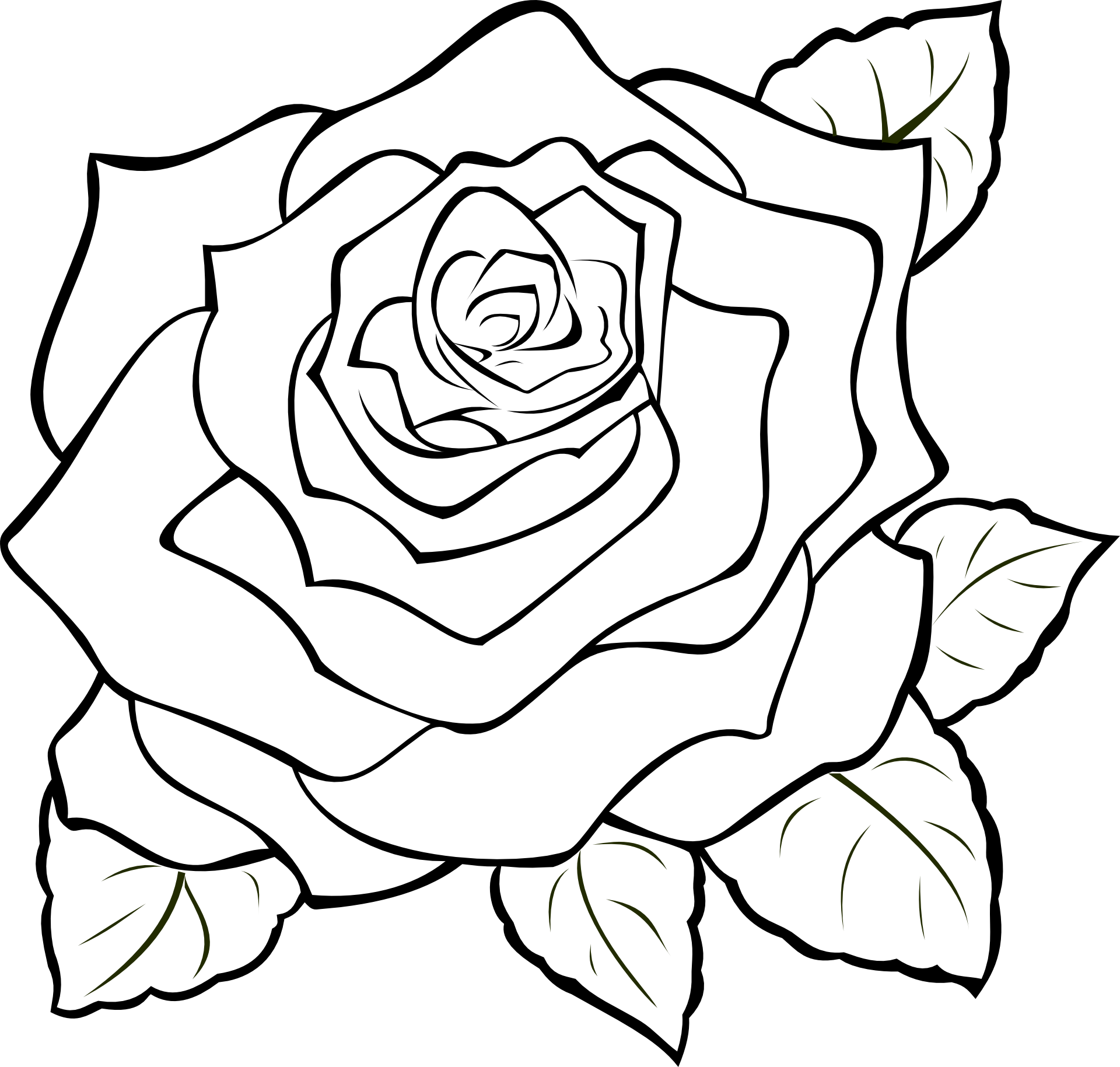 Róża
