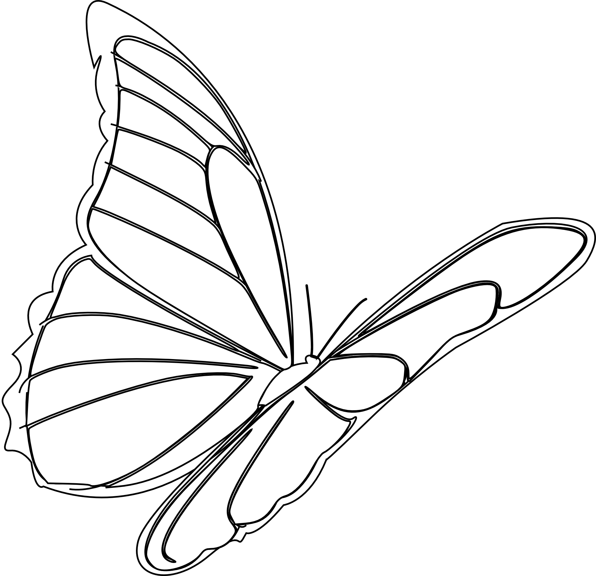 Motyl