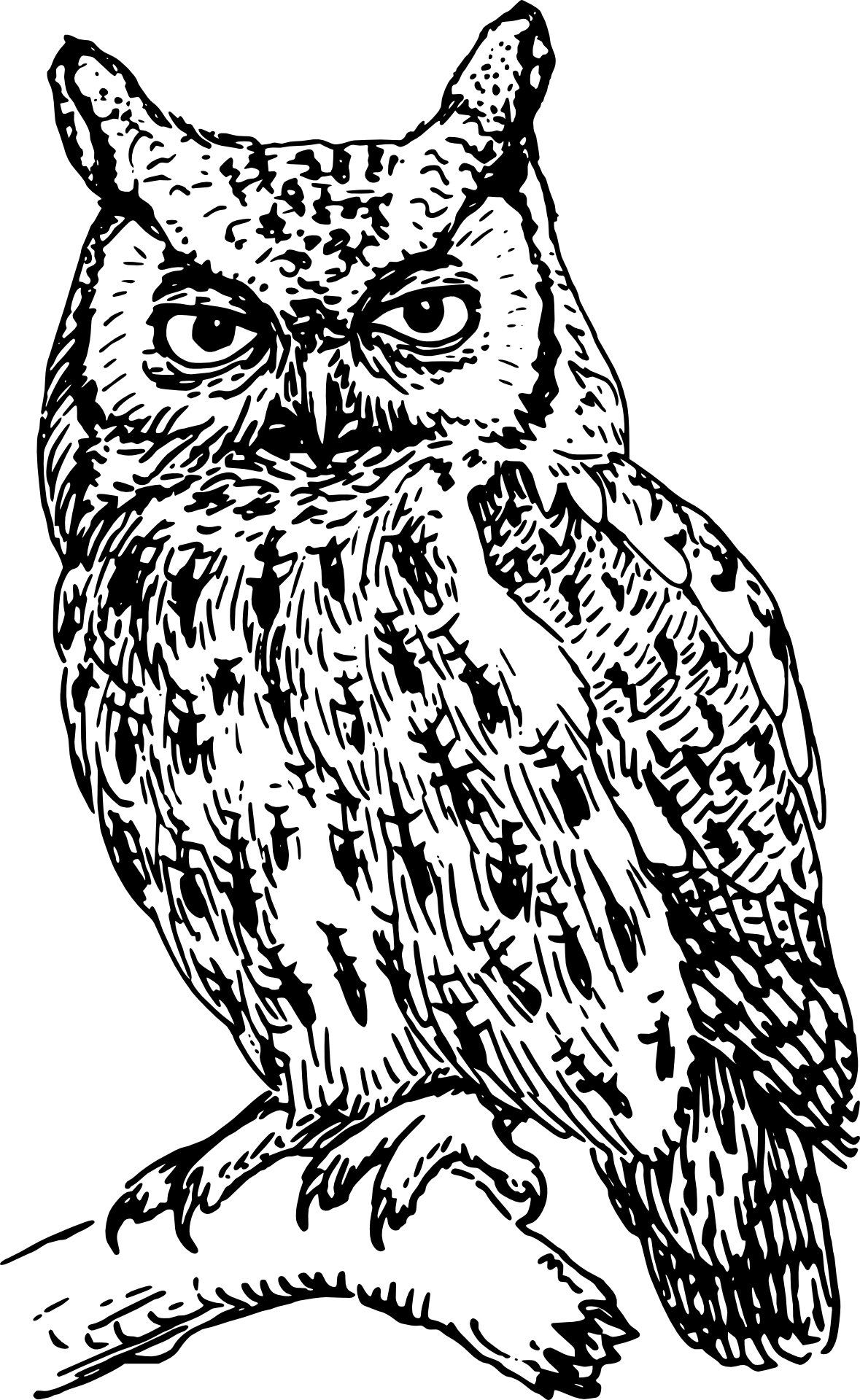 Sowa trudna