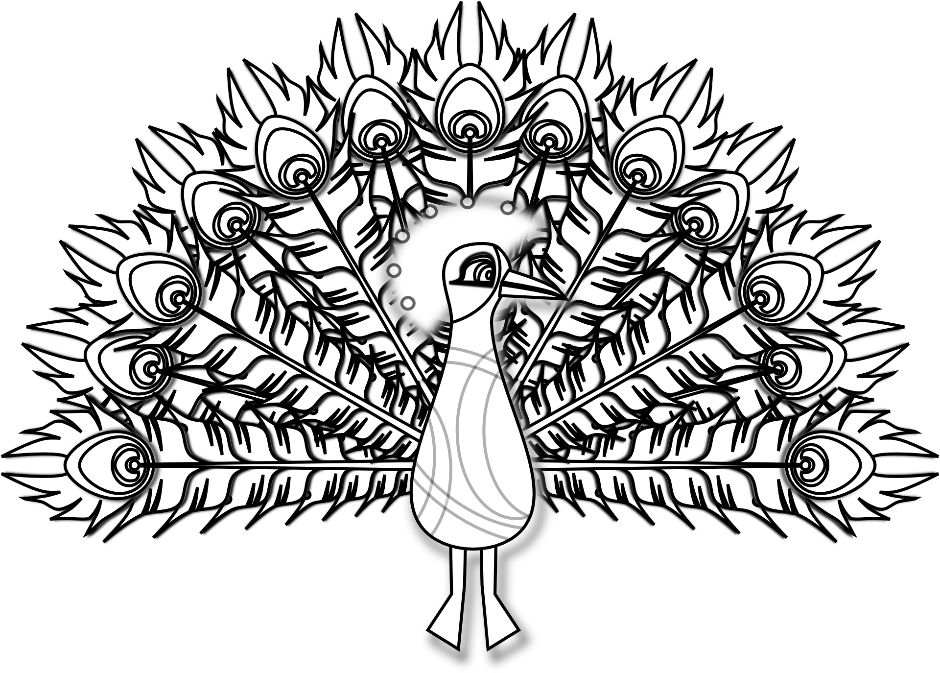 Pawi ogon