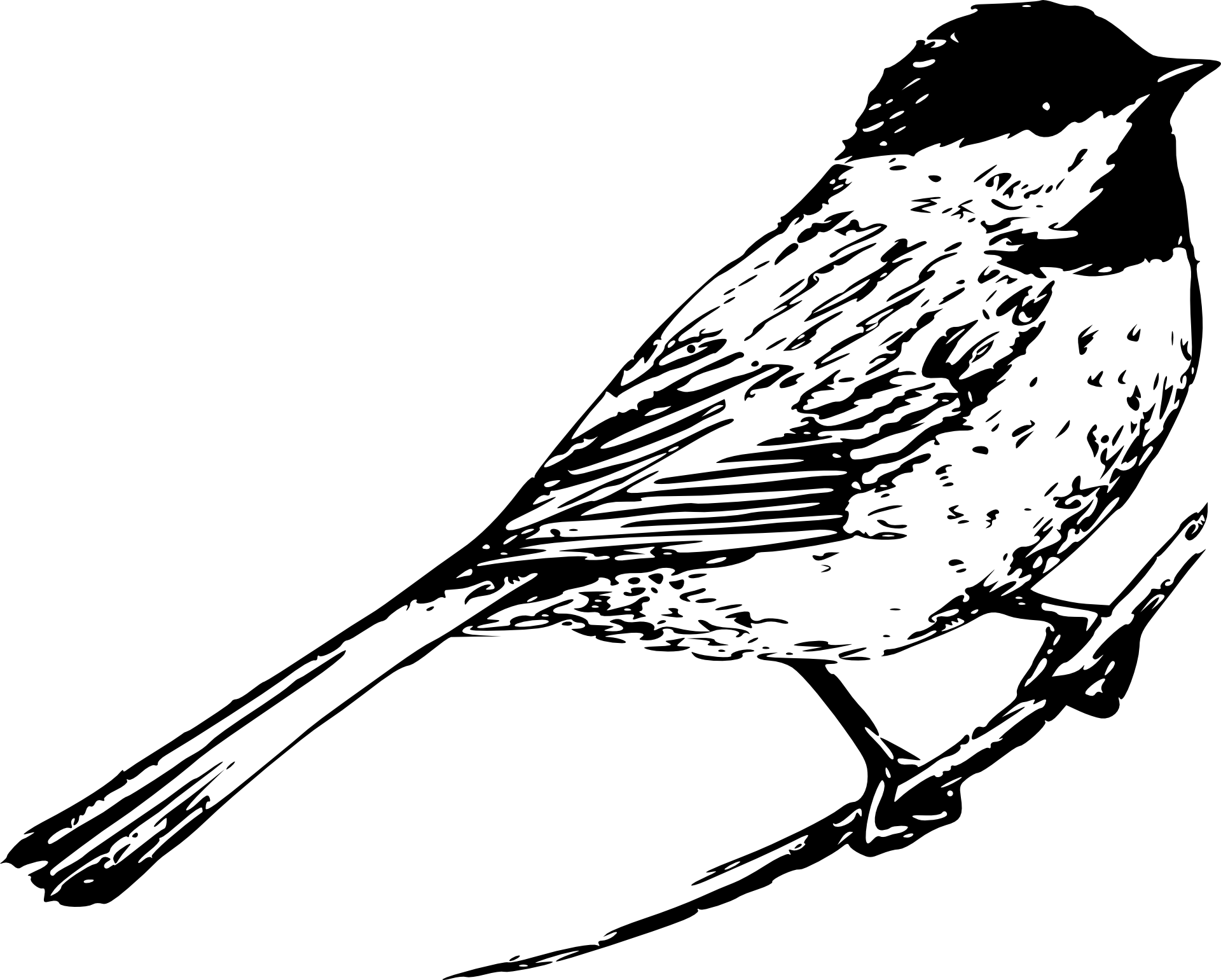 Sikorka