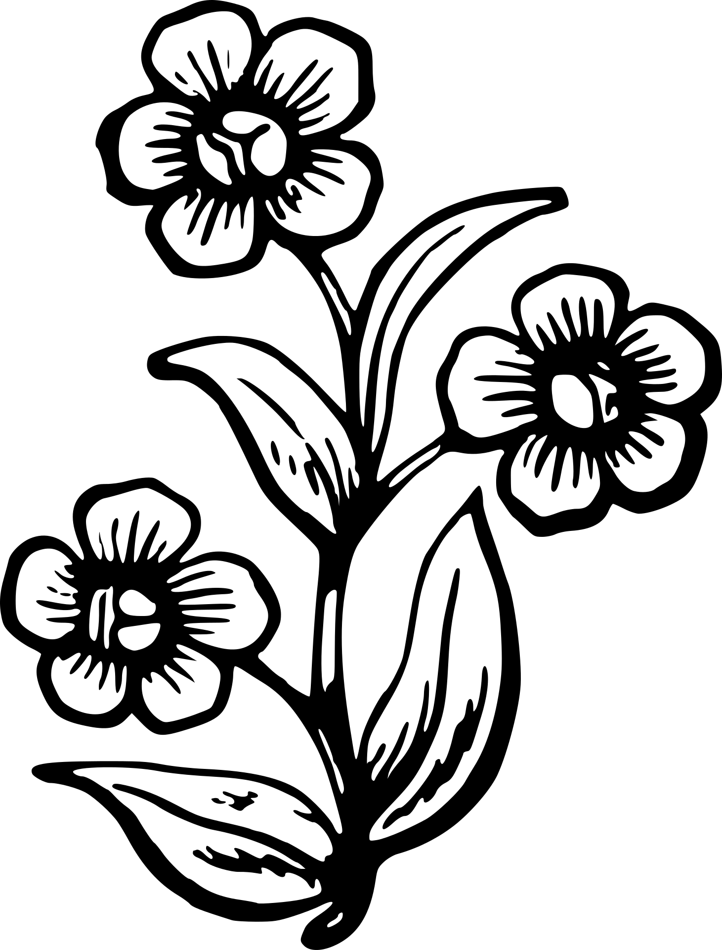 Kwiatki