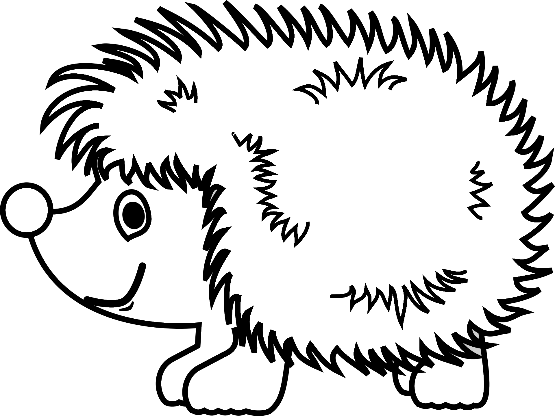 Jeż