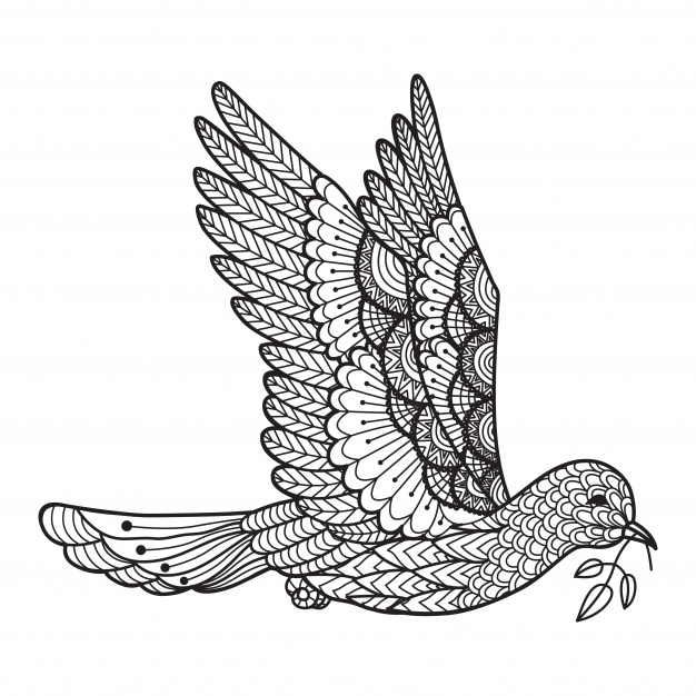 Gołąb