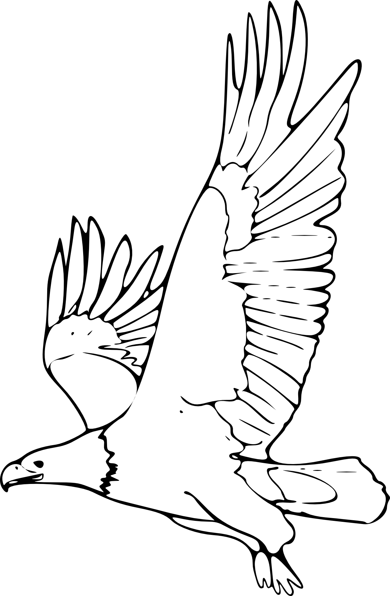 Orzeł