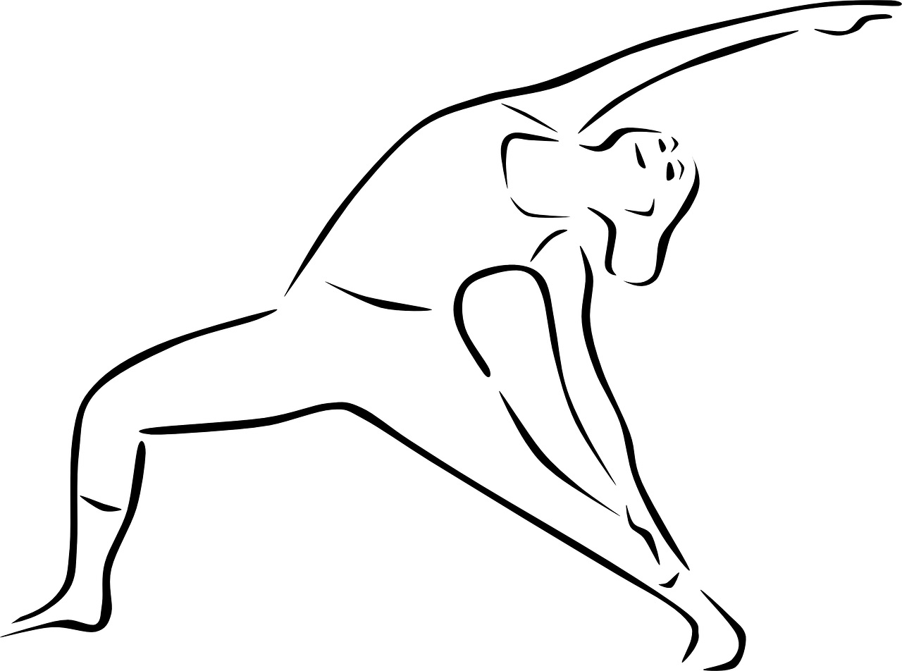 Joga
