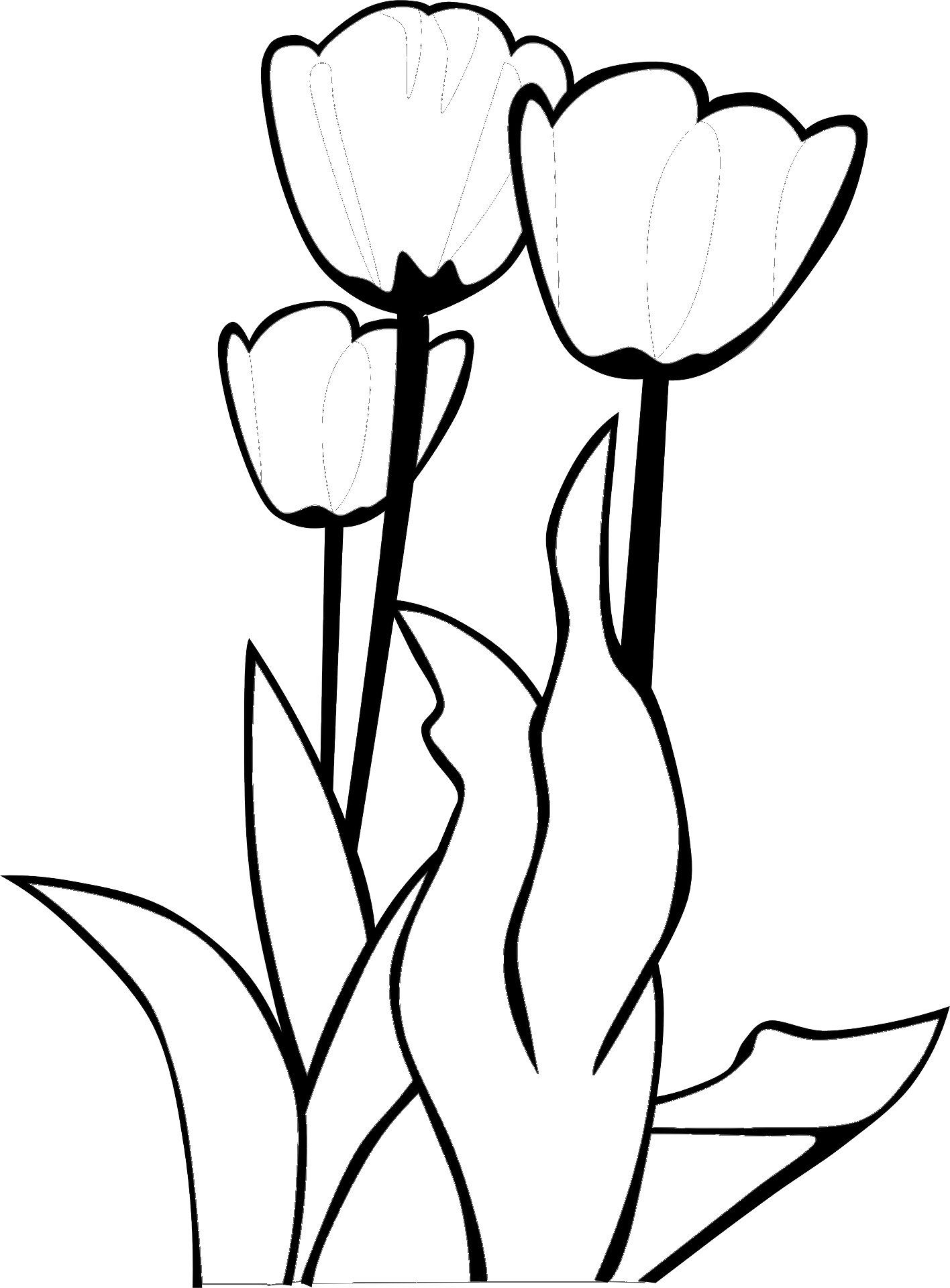 Tulipany