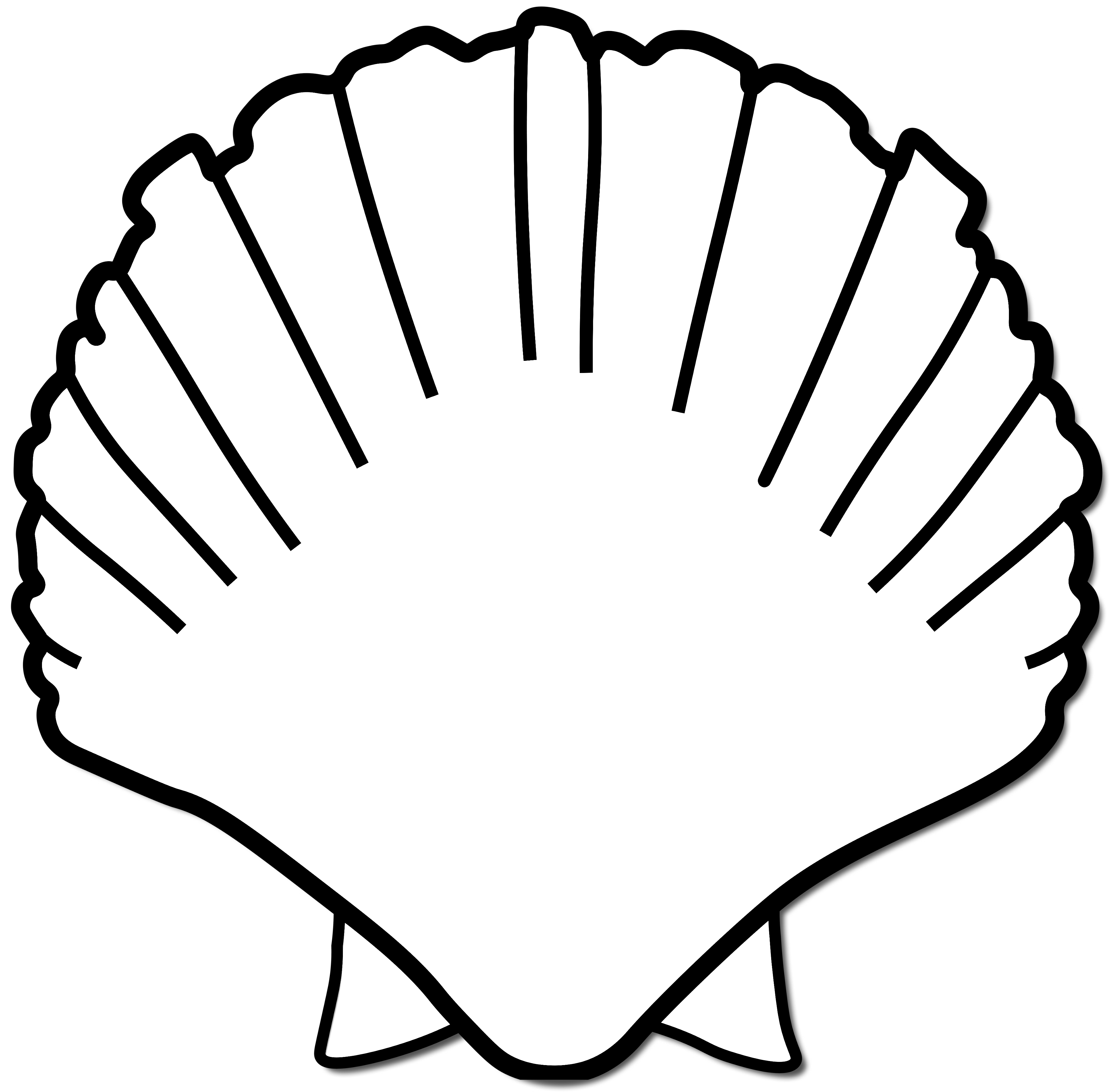 Muszla syrenki