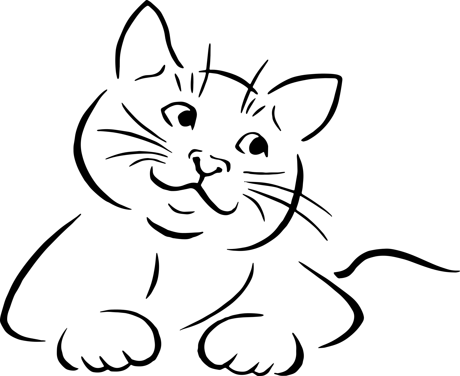 Piękny kot
