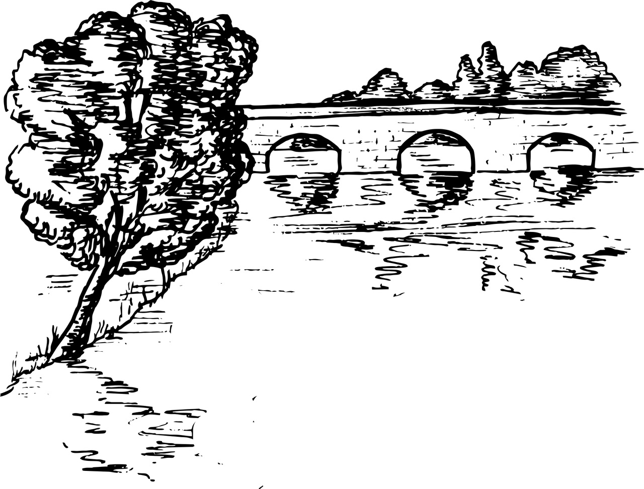 Drzewo i most