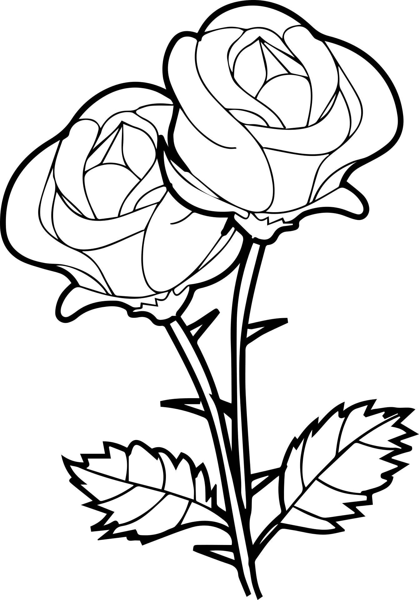 Ładne róże
