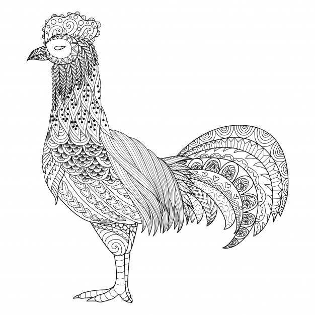 Kogut