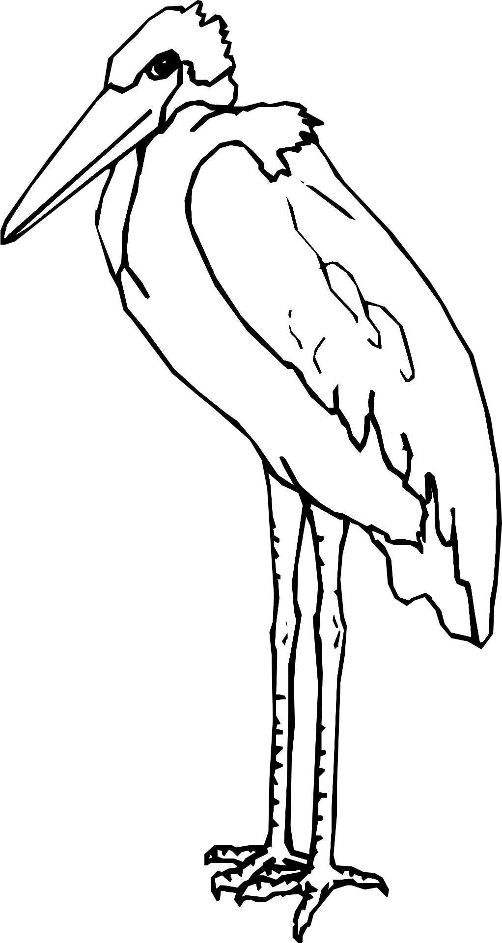 Bocian wzór
