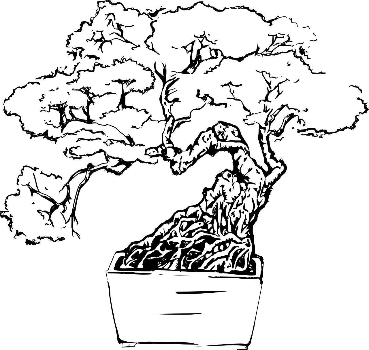 Drzewko bonsai