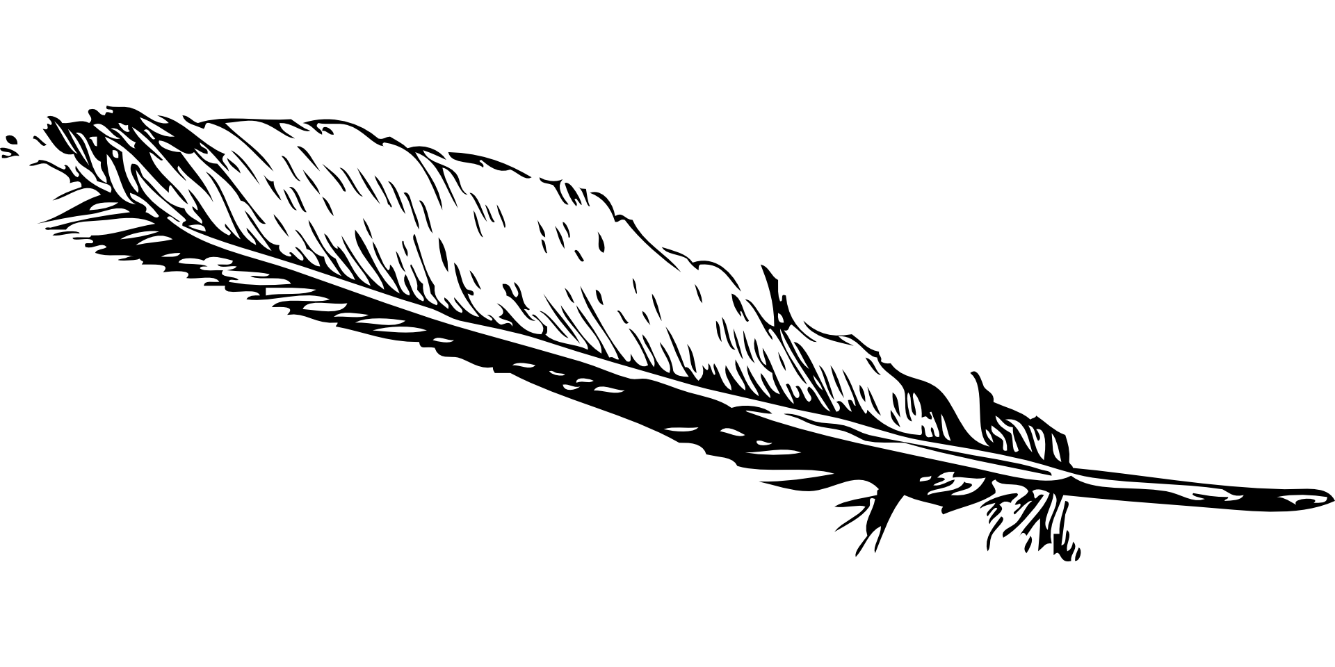 Pióro