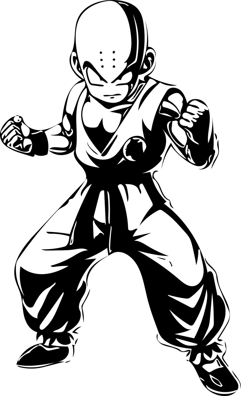 Anime łysy wojownik