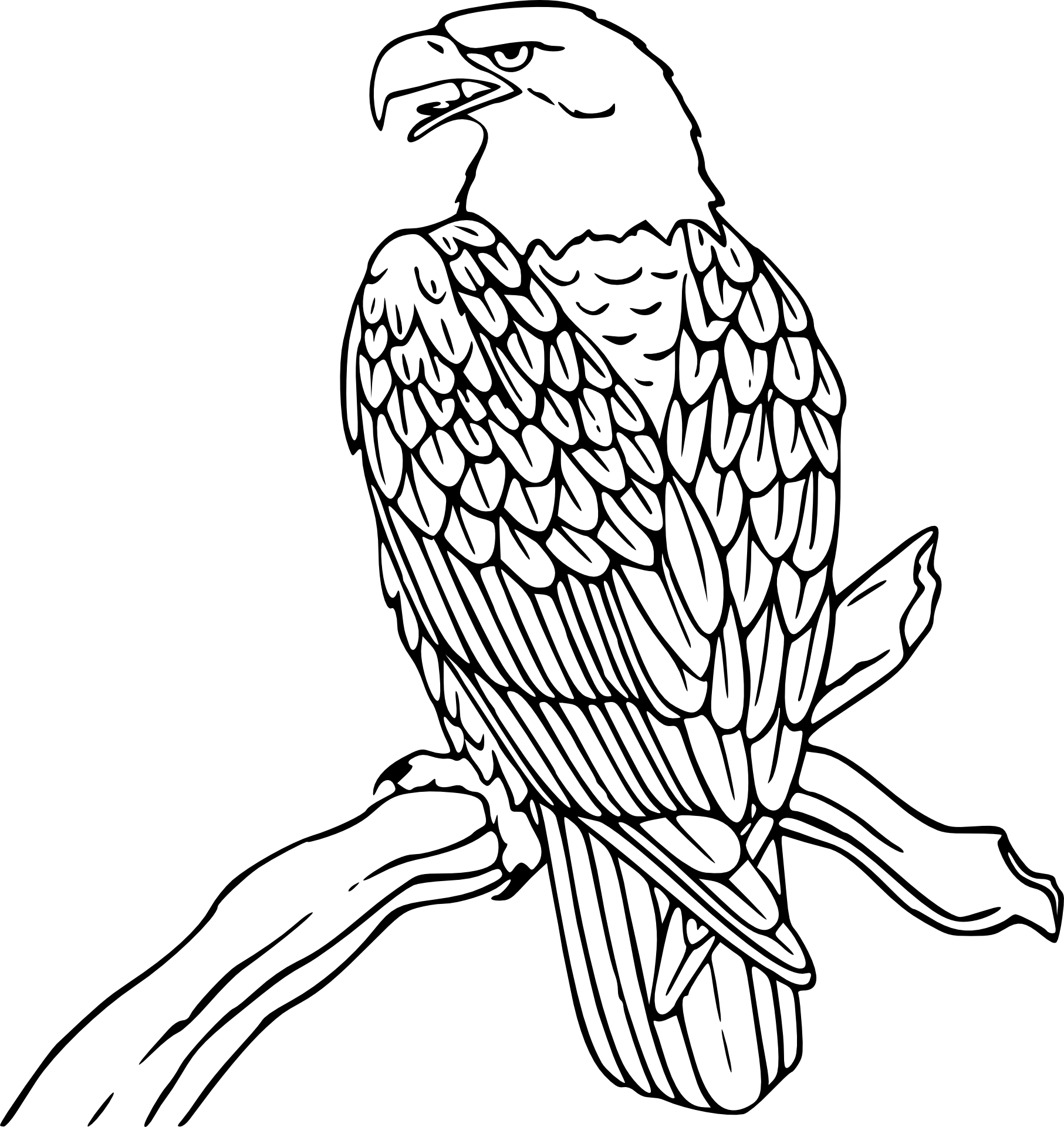 Dostojny orzeł