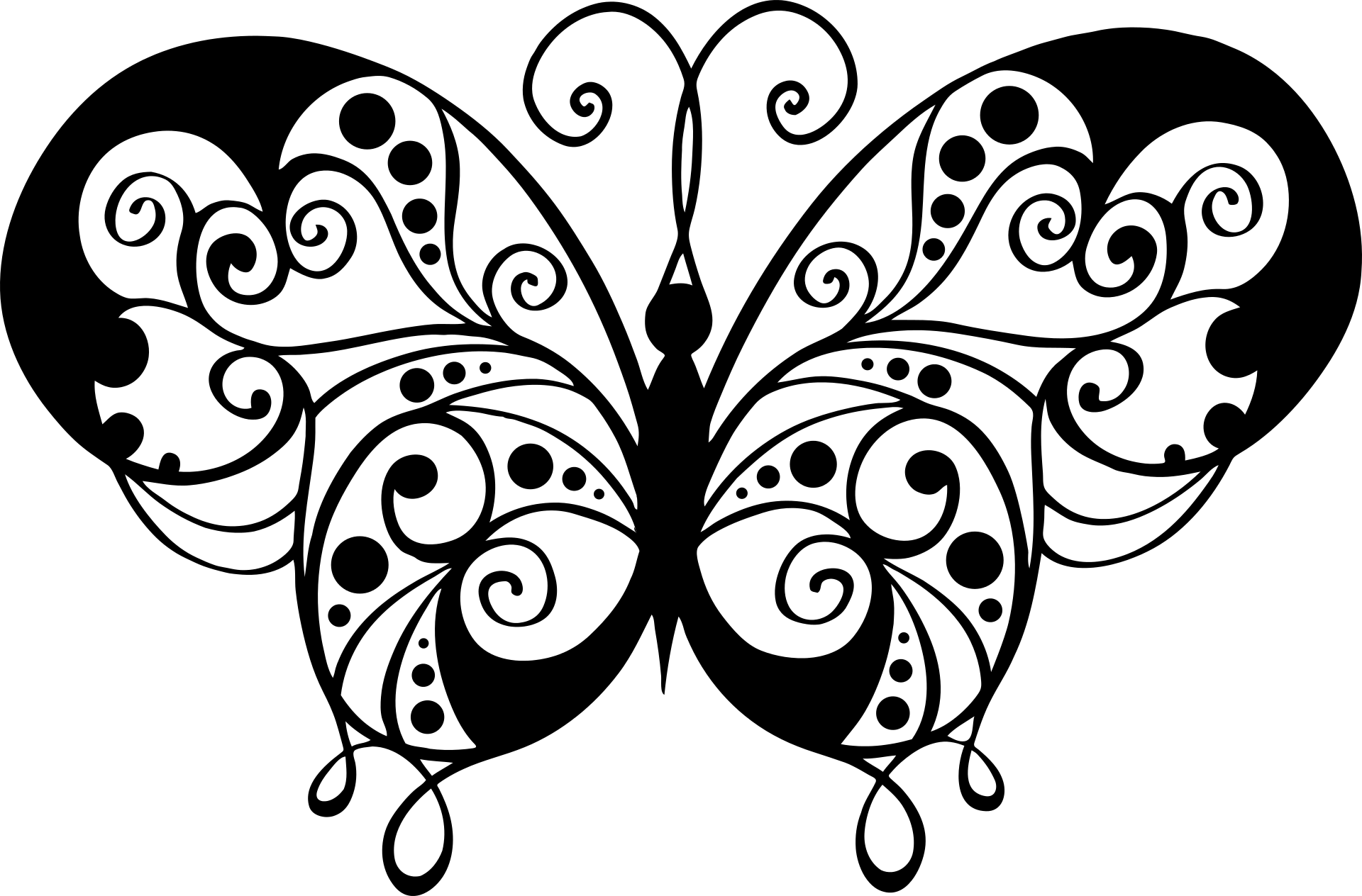 Szczegółowy motyl