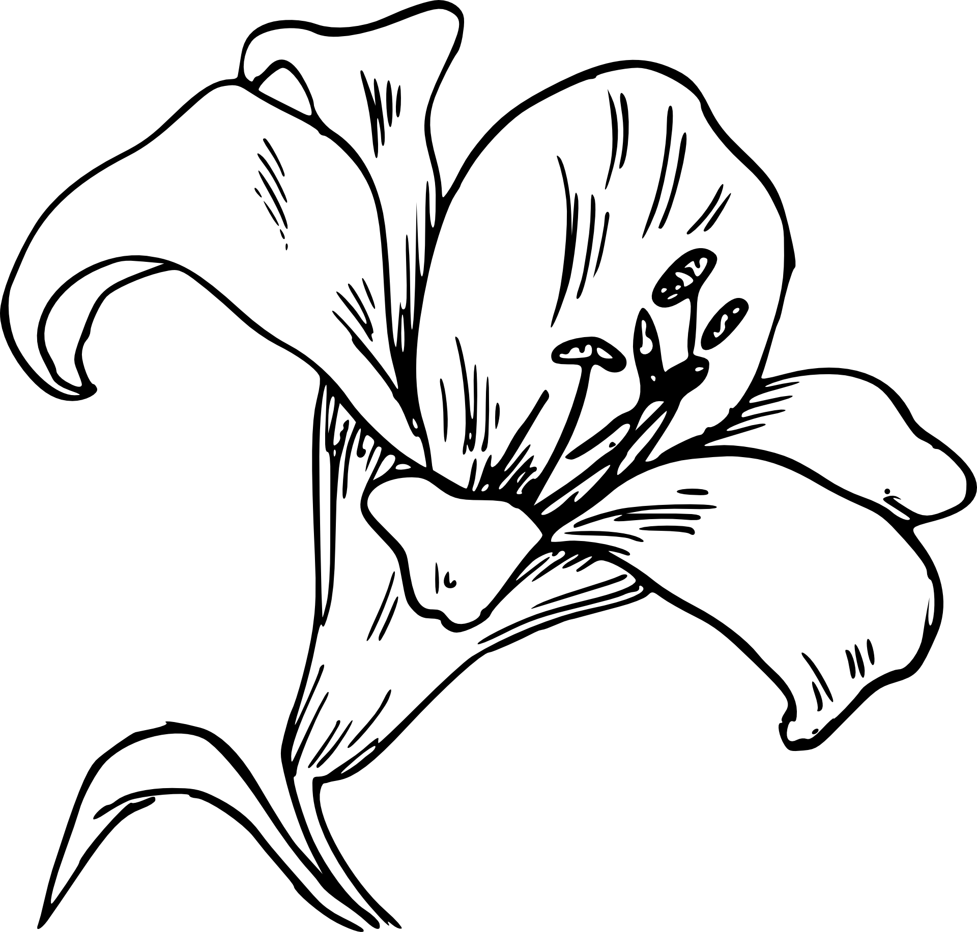 Kalia