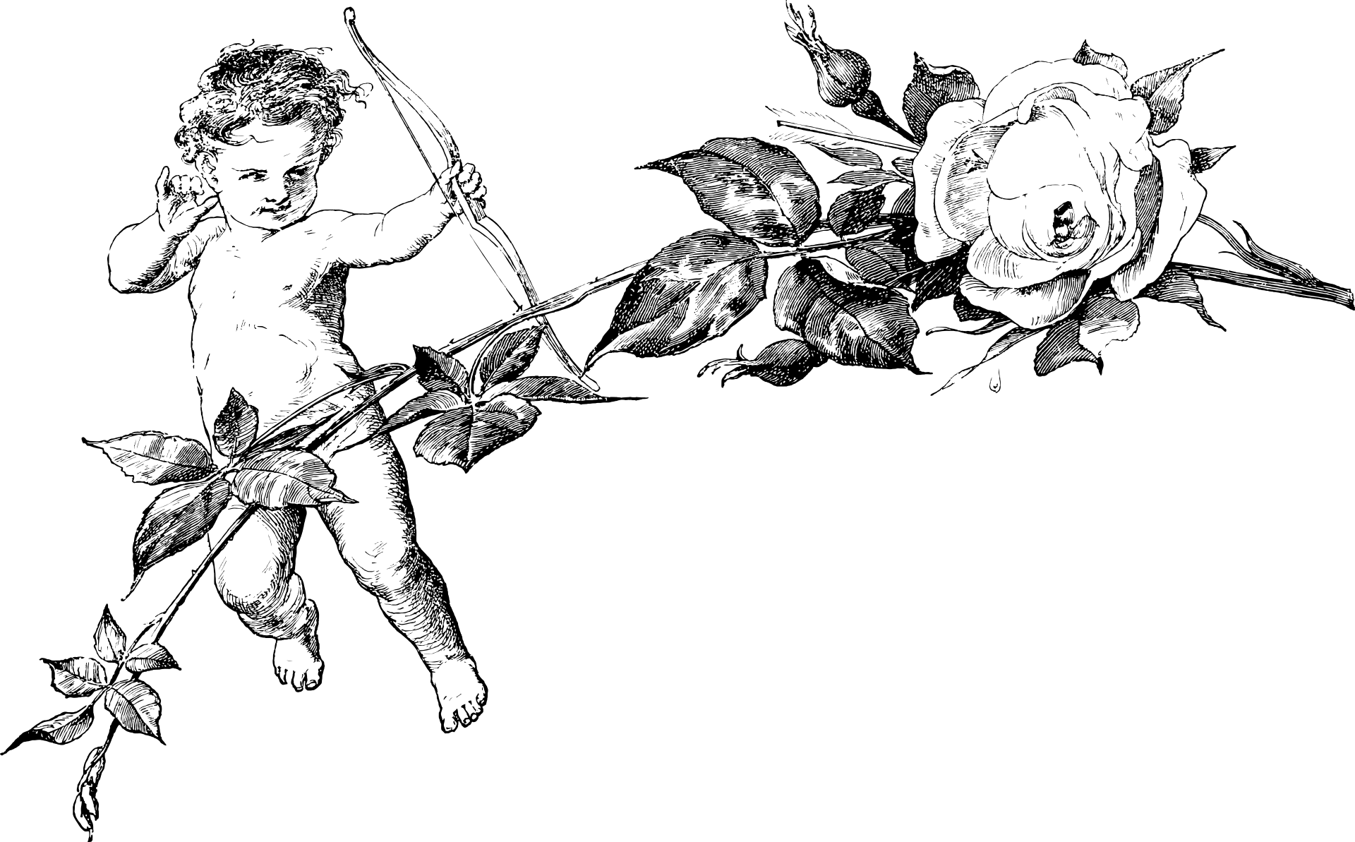 Kupidyn z różą