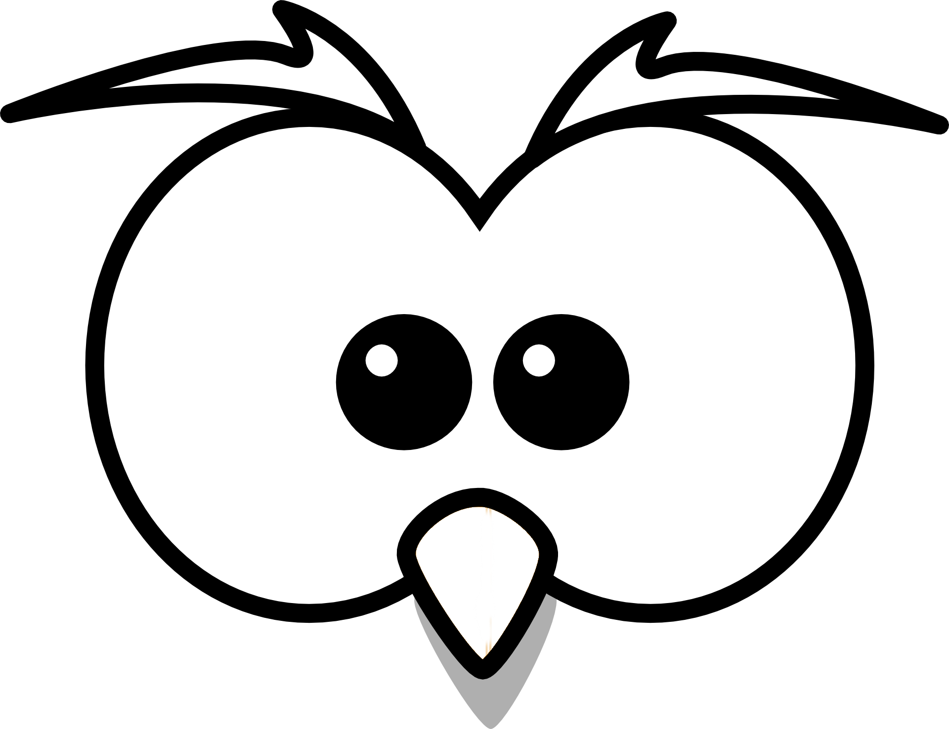 Oczy sowy