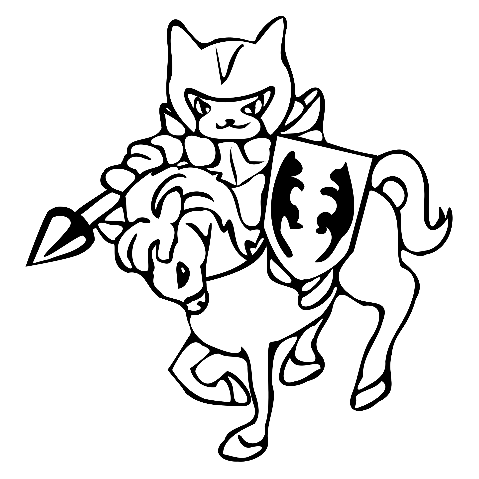 Kot rycerz