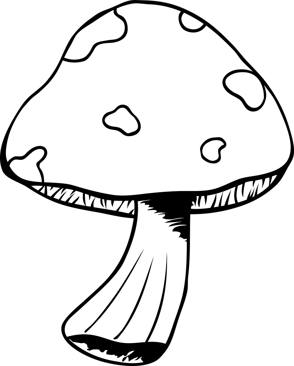 Zakręcony muchomor